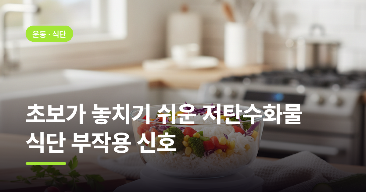 초보가 놓치기 쉬운 저탄수화물 식단 부작용 신호